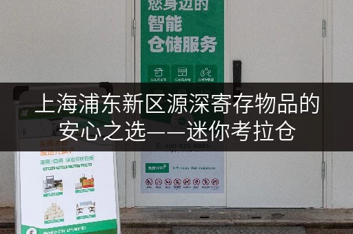 上海浦东新区源深寄存物品的安心之选——迷你考拉仓