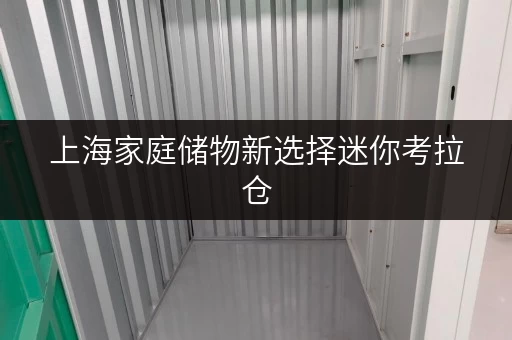 上海家庭储物新选择迷你考拉仓，安全温湿监控，您的贴心“第三空间”