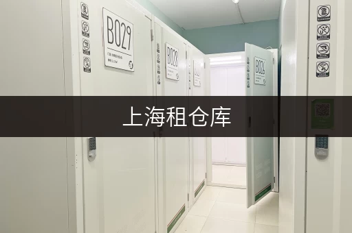 上海租仓库，告别杂物困扰，迷你考拉仓为您打造省心存储方案