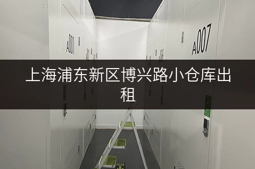 上海浦东新区博兴路小仓库出租，安全温湿监控，您的物品安心之选