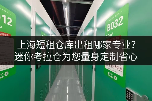 上海短租仓库出租哪家专业？迷你考拉仓为您量身定制省心存储方案