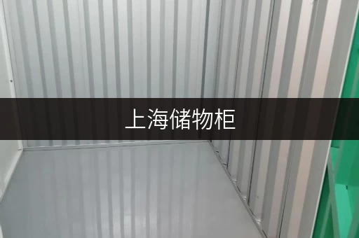 上海储物柜，安全与温湿监控双重保障，让您的物品安心“住”得更好