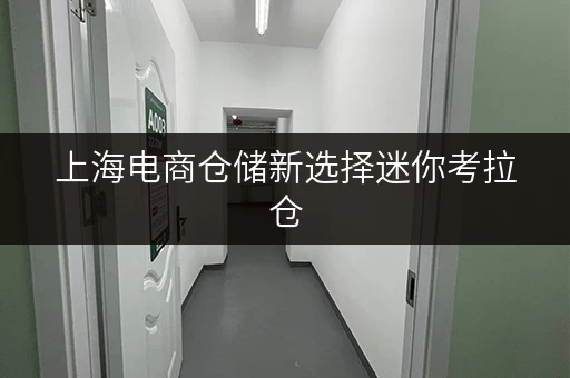 上海电商仓储新选择迷你考拉仓，电商仓库出租正规，存储方案更省心