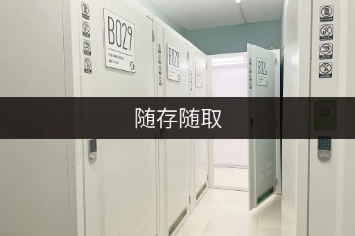 随存随取，便捷无忧上海杨浦区中原库房出租，轻松释放生活空间