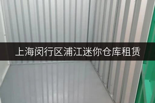 上海闵行区浦江迷你仓库租赁，面积选择攻略与实用案例分享