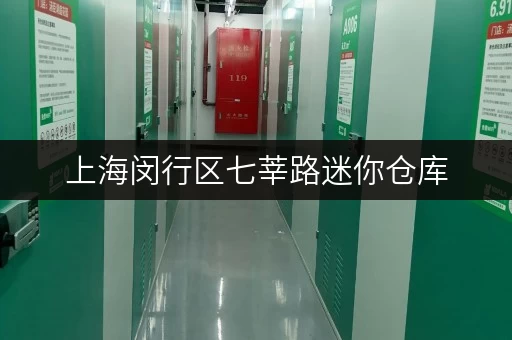 上海闵行区七莘路迷你仓库,释放家庭空间,提升生活品质全攻略 上海闵行区七莘路迷你仓库,释放家庭空间,提升生活品质全攻略