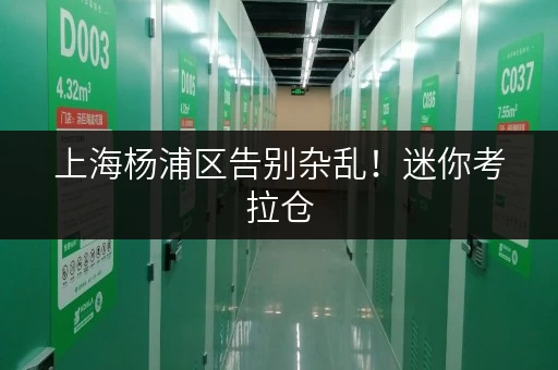上海杨浦区告别杂乱！迷你考拉仓，你的货物存放省心解决方案