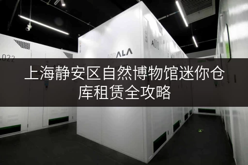 上海静安区自然博物馆迷你仓库租赁全攻略,揭秘省钱秘籍 上海静安区自然博物馆迷你仓库租赁全攻略,揭秘省钱秘籍