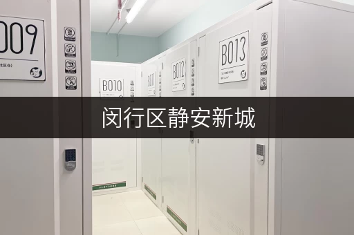 闵行区静安新城,办公空间释放新选择——迷你考拉仓,您的私人“第二办公室” 闵行区静安新城,办公空间释放新选择——迷你考拉仓,您的私人“第二办公室”