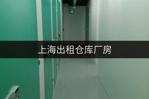 上海出租仓库厂房,迷你考拉仓打造便捷存取新体验 上海出租仓库厂房,迷你考拉仓打造便捷存取新体验