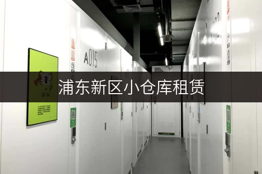 浦东新区小仓库租赁，空间规划全攻略