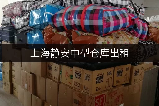 上海静安中型仓库出租,迷你考拉仓规模领先,随存随取更便捷 上海静安中型仓库出租,迷你考拉仓规模领先,随存随取更便捷