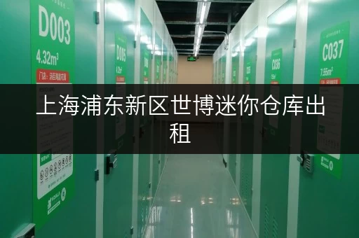 上海浦东新区世博迷你仓库出租,装修搬家临时存储全攻略 上海浦东新区世博迷你仓库出租,装修搬家临时存储全攻略