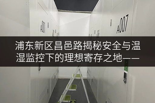 浦东新区昌邑路揭秘安全与温湿监控下的理想寄存之地——迷你考拉仓