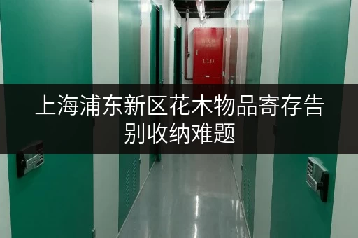 上海浦东新区花木物品寄存告别收纳难题,迷你考拉仓随存随取更便捷 上海浦东新区花木物品寄存告别收纳难题,迷你考拉仓随存随取更便捷