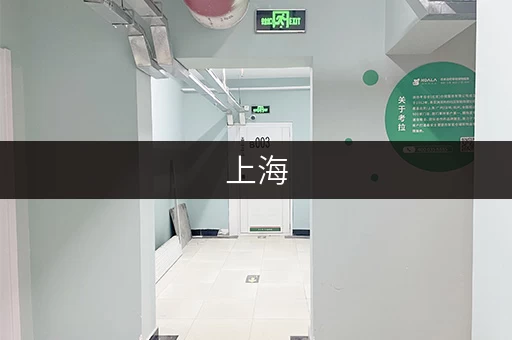 上海，办公空间释放新选择迷你考拉仓，打造高效办公环境全攻略