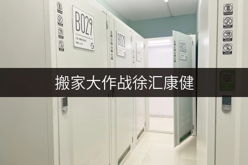 搬家大作战徐汇康健,装修搬家,迷你仓库租赁攻略 搬家大作战徐汇康健,装修搬家,迷你仓库租赁攻略