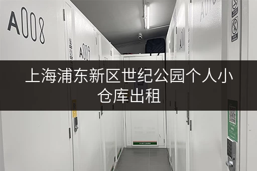 上海浦东新区世纪公园个人小仓库出租，告别收纳难题，存储更省心