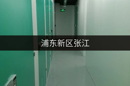浦东新区张江，您的私人空间管家——迷你考拉仓面积选择全攻略