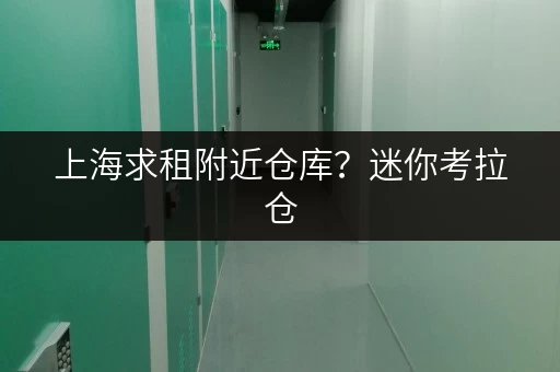 上海求租附近仓库？迷你考拉仓，您的省心存储方案