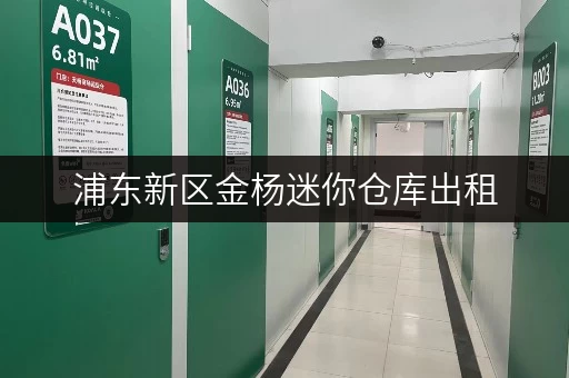浦东新区金杨迷你仓库出租，安全与温湿监控双重保障