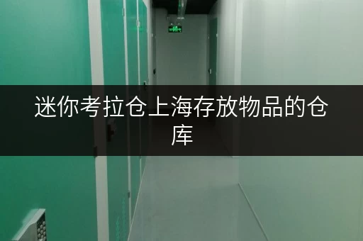 迷你考拉仓上海存放物品的仓库,安全与温湿监控双重保障,让您的宝贝安心“安家” 迷你考拉仓上海存放物品的仓库,安全与温湿监控双重保障,让您的宝贝安心“安家”