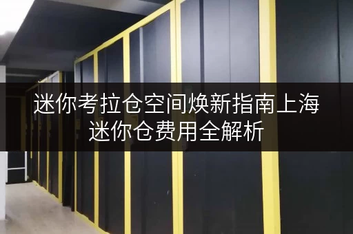 迷你考拉仓空间焕新指南上海迷你仓费用全解析,解锁家庭空间新境界 迷你考拉仓空间焕新指南上海迷你仓费用全解析,解锁家庭空间新境界