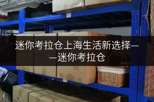 迷你考拉仓上海生活新选择——迷你考拉仓，您的私人物品寄存专家