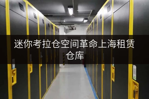 迷你考拉仓空间革命上海租赁仓库，轻松释放办公空间压力