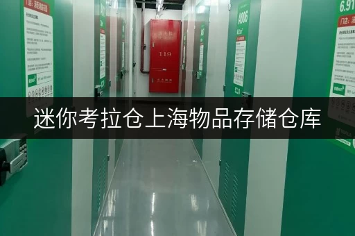 迷你考拉仓上海物品存储仓库,办公空间释放新可能 迷你考拉仓上海物品存储仓库,办公空间释放新可能