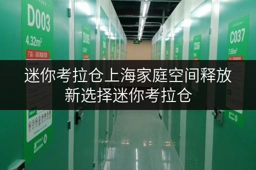 迷你考拉仓上海家庭空间释放新选择迷你考拉仓,品质生活新伙伴 迷你考拉仓上海家庭空间释放新选择迷你考拉仓,品质生活新伙伴