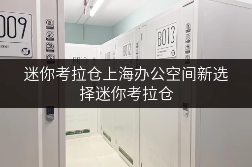 迷你考拉仓上海办公空间新选择迷你考拉仓,让办公用品存放更高效 迷你考拉仓上海办公空间新选择迷你考拉仓,让办公用品存放更高效