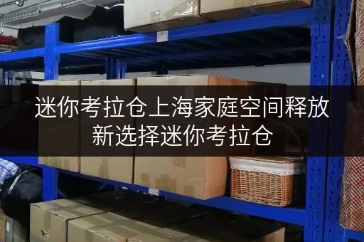 迷你考拉仓上海家庭空间释放新选择迷你考拉仓,品质生活从此无忧 迷你考拉仓上海家庭空间释放新选择迷你考拉仓,品质生活从此无忧