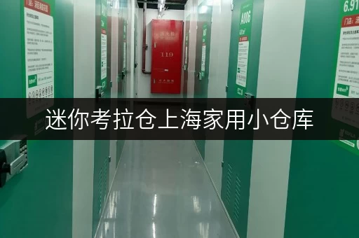 迷你考拉仓上海家用小仓库，您的私人空间管家