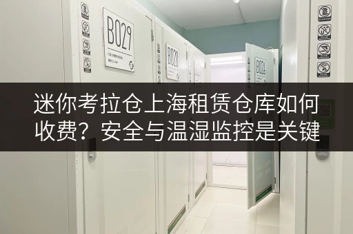 迷你考拉仓上海租赁仓库如何收费?安全与温湿监控是关键 迷你考拉仓上海租赁仓库如何收费?安全与温湿监控是关键