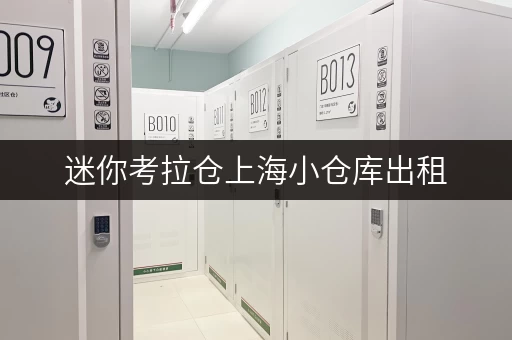 迷你考拉仓上海小仓库出租，空间选择攻略，告别收纳烦恼