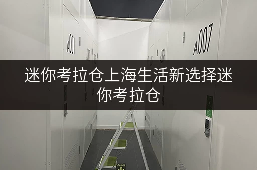 迷你考拉仓上海生活新选择迷你考拉仓,全时段服务,存取便捷,小仓库出租新体验 迷你考拉仓上海生活新选择迷你考拉仓,全时段服务,存取便捷,小仓库出租新体验