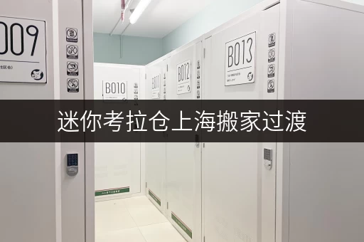 迷你考拉仓上海搬家过渡,迷你考拉仓助您轻松应对 迷你考拉仓上海搬家过渡,迷你考拉仓助您轻松应对