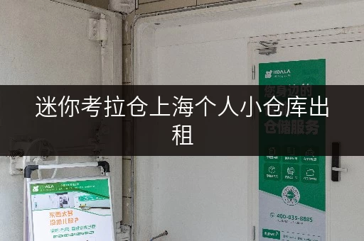 迷你考拉仓上海个人小仓库出租，安全与温湿监控，打造您的私人储物空间