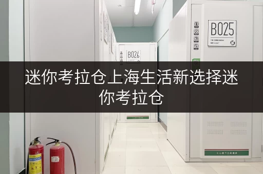 迷你考拉仓上海生活新选择迷你考拉仓,让您轻松存取,随时随地 迷你考拉仓上海生活新选择迷你考拉仓,让您轻松存取,随时随地