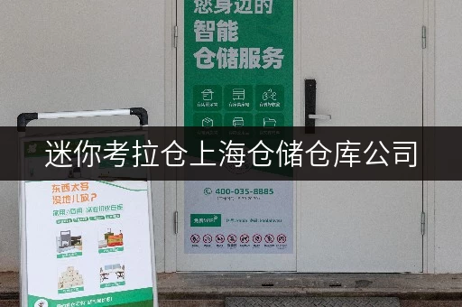 迷你考拉仓上海仓储仓库公司,安全温控,守护您的每一件宝贝 迷你考拉仓上海仓储仓库公司,安全温控,守护您的每一件宝贝