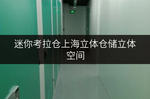 迷你考拉仓上海立体仓储立体空间,无限便利,全时段服务,生活无忧 迷你考拉仓上海立体仓储立体空间,无限便利,全时段服务,生活无忧