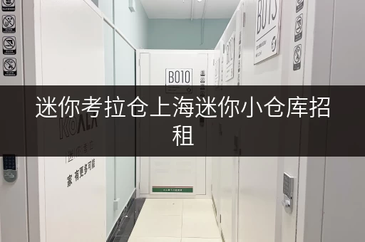 迷你考拉仓上海迷你小仓库招租,空间巧用全攻略 迷你考拉仓上海迷你小仓库招租,空间巧用全攻略