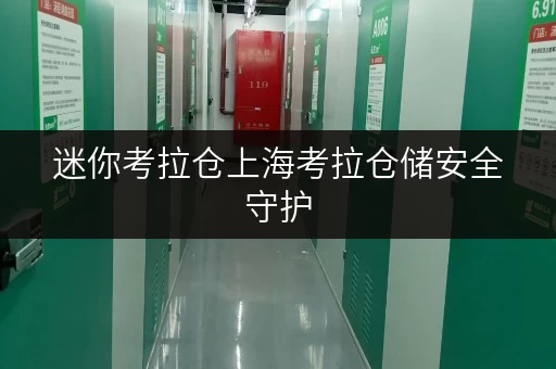迷你考拉仓上海考拉仓储安全守护,温湿监控,打造您的私人“静音空间” 迷你考拉仓上海考拉仓储安全守护,温湿监控,打造您的私人“静音空间”