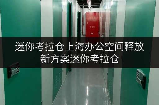 迷你考拉仓上海办公空间释放新方案迷你考拉仓，让办公更高效