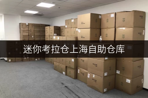 迷你考拉仓上海自助仓库,告别收纳烦恼,轻松省钱全攻略 迷你考拉仓上海自助仓库,告别收纳烦恼,轻松省钱全攻略