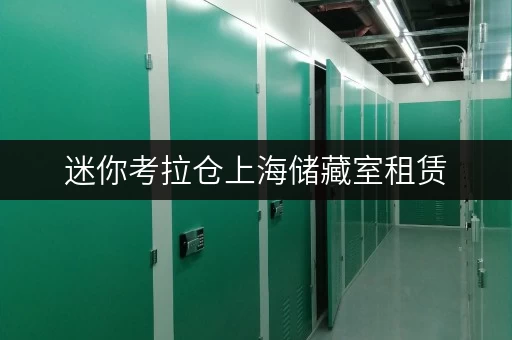迷你考拉仓上海储藏室租赁,告别杂乱,尽享便捷生活 迷你考拉仓上海储藏室租赁,告别杂乱,尽享便捷生活