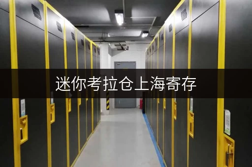 迷你考拉仓上海寄存，物品安全与温湿监控，迷你考拉仓守护您的每一件宝贝