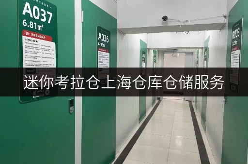 迷你考拉仓上海仓库仓储服务,揭秘省钱攻略! 迷你考拉仓上海仓库仓储服务,揭秘省钱攻略!