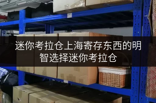 迷你考拉仓上海寄存东西的明智选择迷你考拉仓,安全与温湿监控双重保障 迷你考拉仓上海寄存东西的明智选择迷你考拉仓,安全与温湿监控双重保障